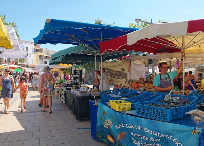 Hacienda Ii-7 By Interhome Agde